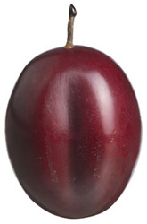 Plum