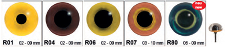 CC-Reptiles and Amphibian Eyes on Wire