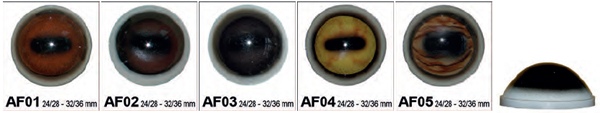 Aspheric Glass-Eyes for Mammals
