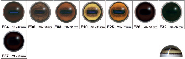 CC-Glass Eyes for Mammals