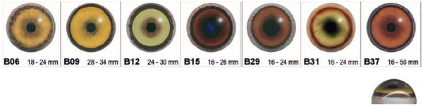 CC-Glass Eyes for Mammals