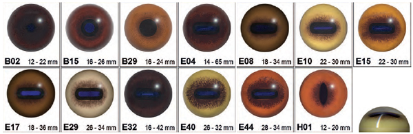 CC-Glass Eyes for Mammals - 2nd Choice