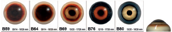 CC-Eyes for Mammals in IQ-Form