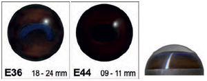 CC-Glass Eyes for Mammals