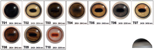 Aspheric Glass Eyes for Mammals