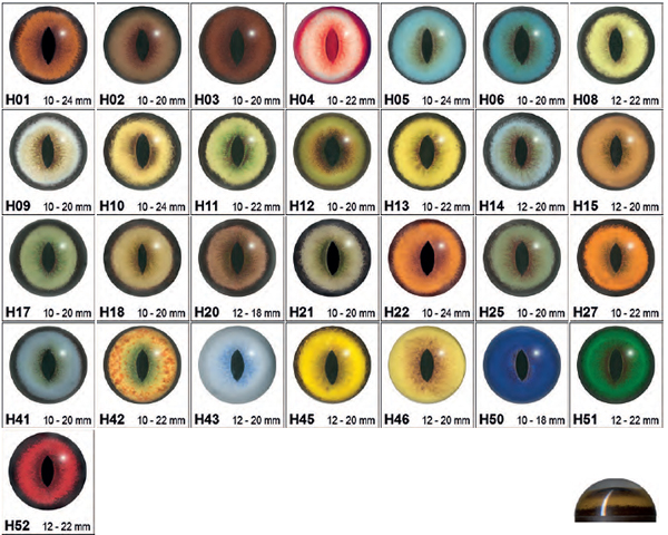 CC-Mammal Eyes