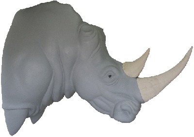 White Rhinoceros