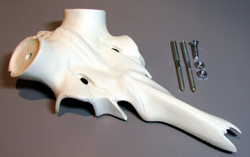 Aluminium-Schädel Rothirsch mit Nasenbein