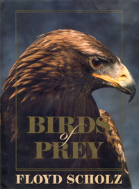 Birds of Prey