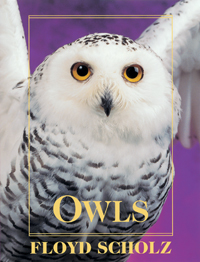 Owls