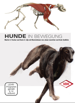 Hunde in Bewegung