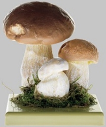 Steinpilz, Herrenpilz