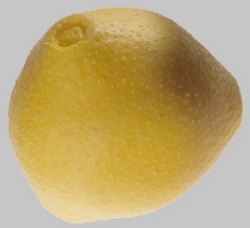 Model of Hazelnut Pollen Grain