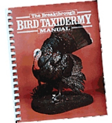 Bird Taxidermy Manual