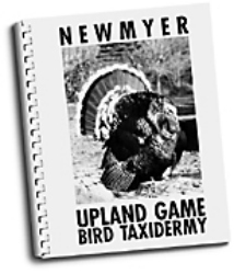 Upland Game Bird Taxidermy