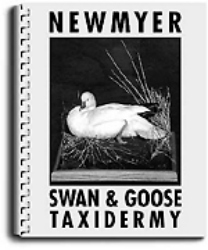 Swan & Goose Taxidermy by Frank Newmyer
