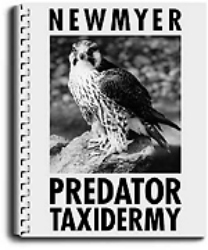 Predator Taxidermy by Frank Newmyer