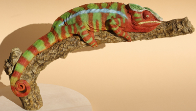 Panther Chameleon