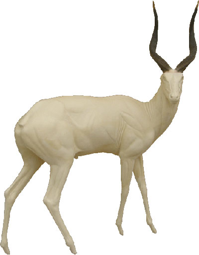 Nyala