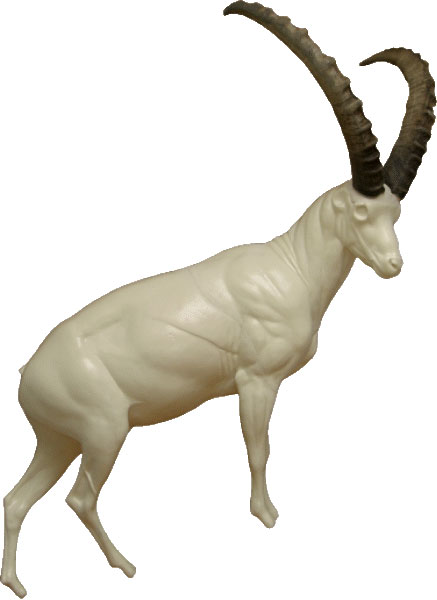 Ibex