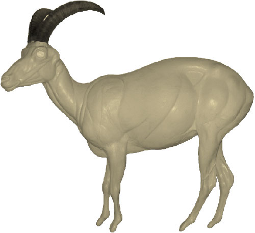 Ibex