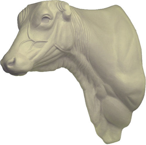 Cattle Cow