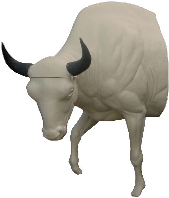 Bison