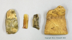 Tools- Found near SC-116 5-yr Archaic Child skeleton