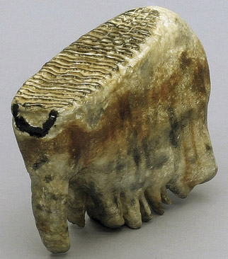 Woolly Mammoth Molar