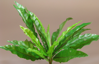 Artificial Nest Fern