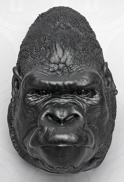 Male Gorilla Head (Life Cast)