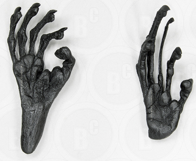 Aye-aye Hand and Foot Life Cast Set