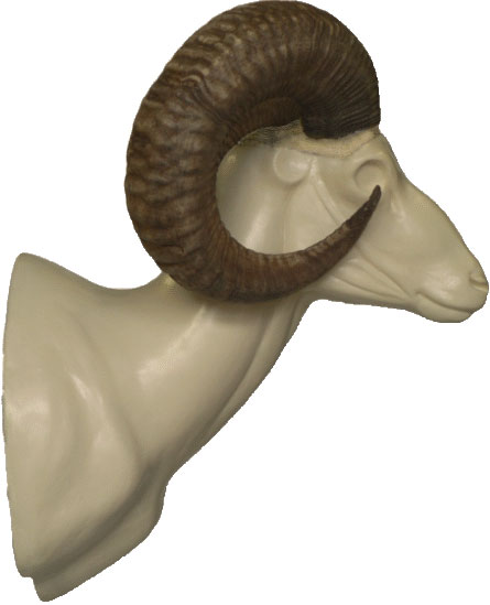 Mouflon