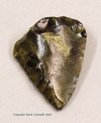 Fossil Hominid Tool Levallois Blade