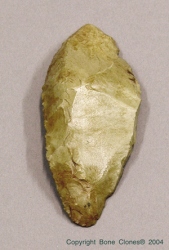 Fossil Hominid Tool Scraper