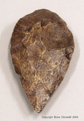 Fossil Hominid Tool Bi-facial Hand-Axe 006