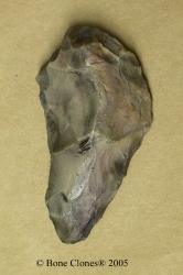 Steinwerkzeug (fossiles)