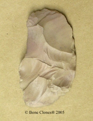 Steinwerkzeug (fossiles)
