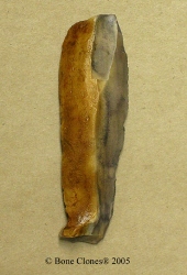 Neanderthal Tool- Knife/Scraper