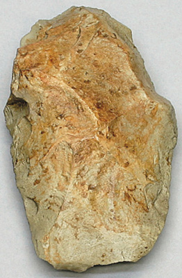 Fossil Hominid Tool- Cleaver- Acheulean- 1.2 mya