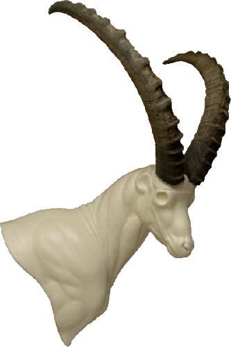 Ibex