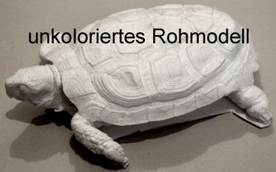 Spaltenschildkröte