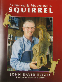 Skinning and Mounting a Squirrel