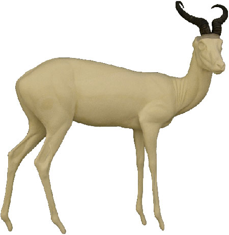 Springbuck