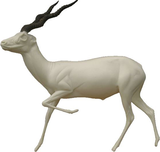 Blackbuck