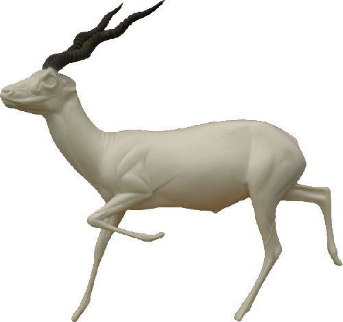 Blackbuck