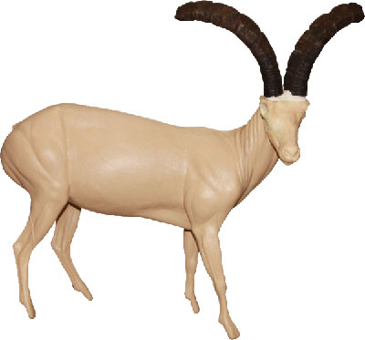 Ibex