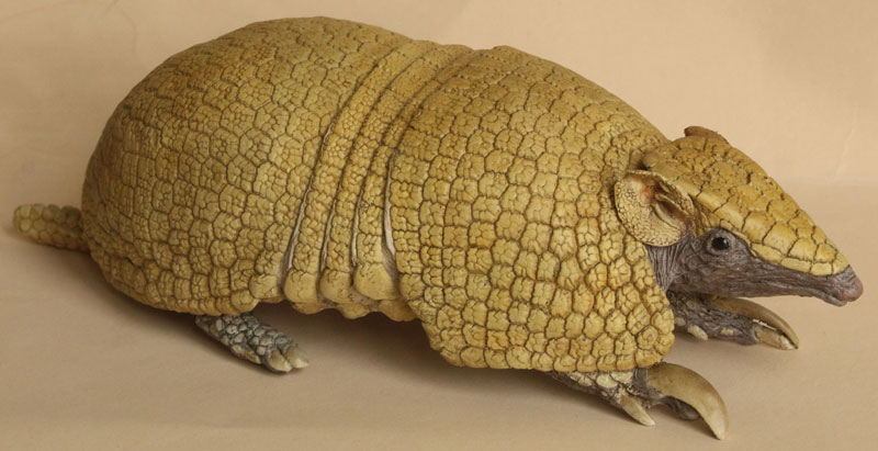 Brazilian Three-Banded Armadillo