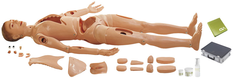 CLA-Nursing Dummy, Adult Size