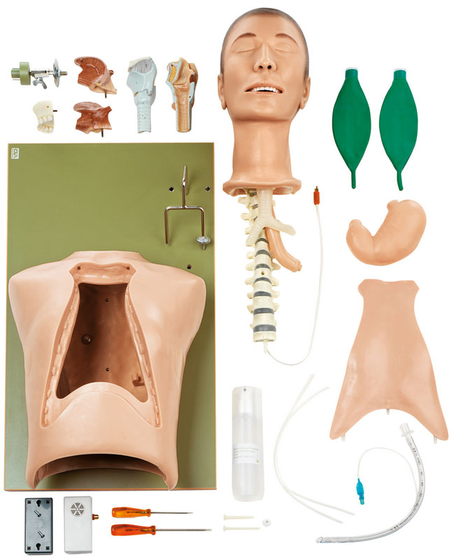 CLA-Intubationsphantom